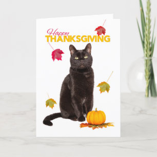 Happy Thanksgiving Cute Black Cat met valleien Feestdagen Kaart