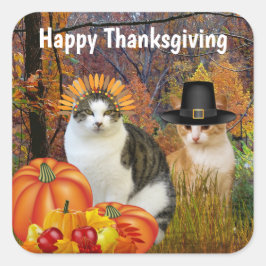 Happy Thanksgiving Cute Cats Pumpkin Vierkante Sticker