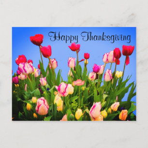 Happy Thanksgiving Diverse Tulips #3 Briefkaart