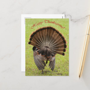 Happy Thanksgiving Feestdagenkaart