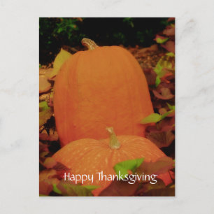 Happy Thanksgiving Feestdagenkaart