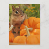 Happy Thanksgiving Little Chipmunk Briefkaart (Voorkant)