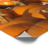 Happy Thanksgiving Poster (Hoek)