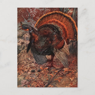 Happy Thanksgiving Turkije Feestdagenkaart