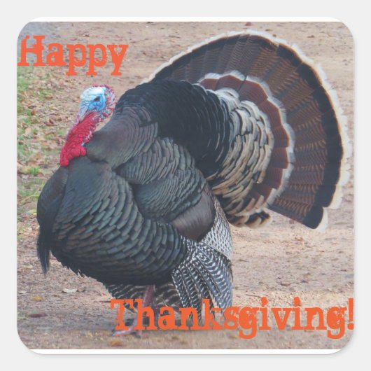 Happy Thanksgiving Turkije Foto Sticker (Voorkant)