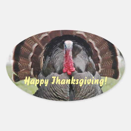 Happy Thanksgiving Turkije Ovale Sticker (Voorkant)