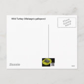 Happy Thanksgiving Wild Turkije Feestdagenkaart (Achterkant)