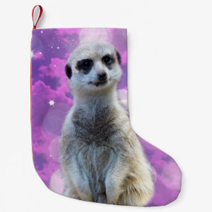 Happy The Meerkat, Kleine Kerstsok