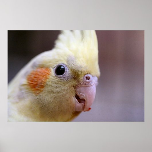 Happy tiel poster (Voorkant)