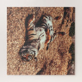 Happy Tiger Belly Up Rolling in Leaves Legpuzzel (Horizontaal)