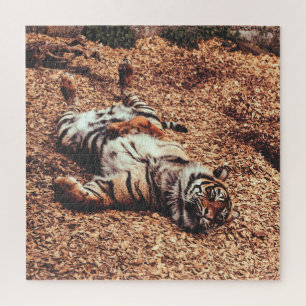 Happy Tiger Belly Up Rolling in Leaves Legpuzzel