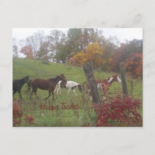 Happy Trails! Briefkaart (Voorkant)