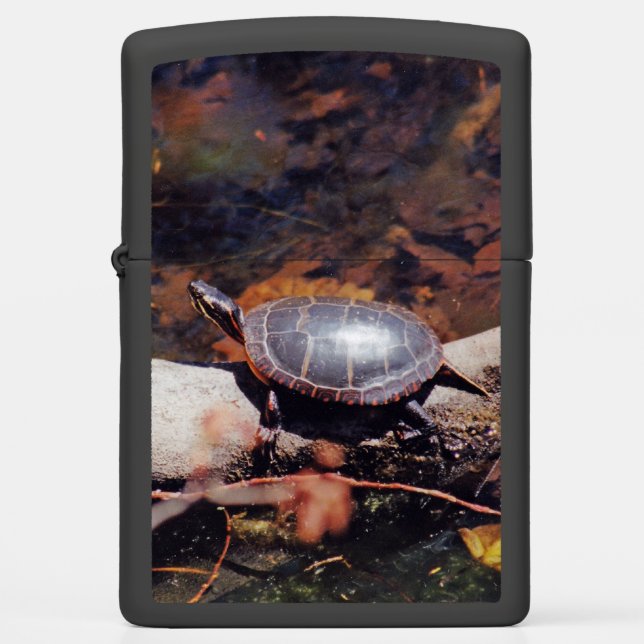 Happy Turtle (Voorkant)