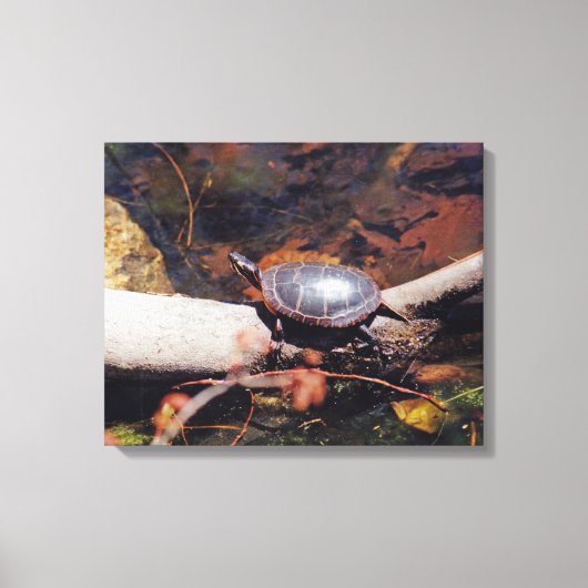 Happy Turtle Canvas Afdruk (Voorkant)