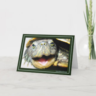 Happy Turtle Kaart