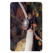 Happy Turtle Magneet (Verticaal)