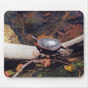 Happy Turtle Muismat