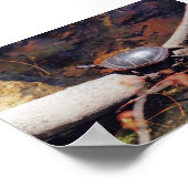 Happy Turtle Poster (Hoek)