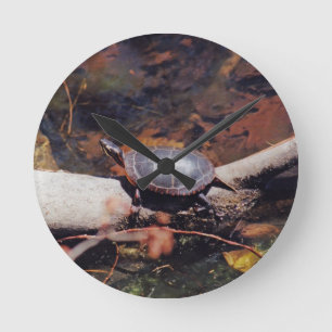 Happy Turtle Ronde Klok