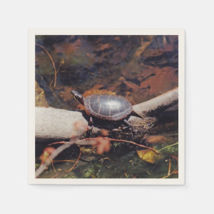 Happy Turtle Servet