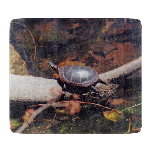 Happy Turtle Snijplank (Voorkant)