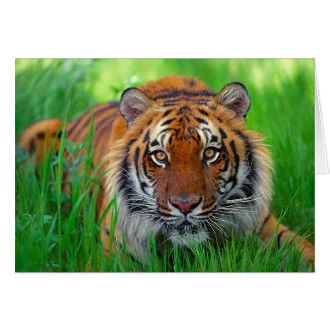 Happy Vaderdag (Voorkant Horizontaal)