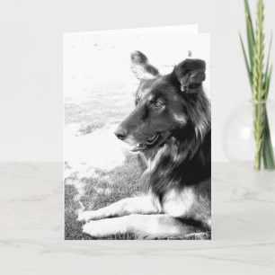 Happy Vaderdag Belgian Shepherd Dog Kaart