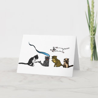 Happy Vaderdag Kat Wenskaart Kaart