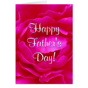 Happy Vaderdag roze Rose II