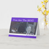 Happy Vaderdag van katten Kaart (Gele Bloem)