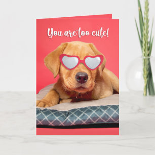 Happy Valeneitne's Day Cute Labrador Puppy Humor Feestdagen Kaart