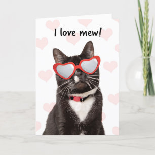 Happy Valeneitne's Day I Love Mew Schattige Cat Feestdagen Kaart