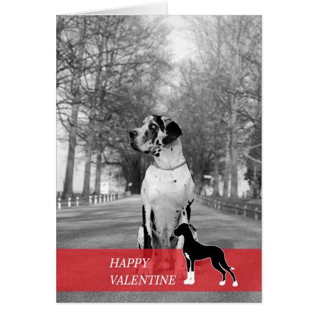 Happy Valentijn (Voorkant)