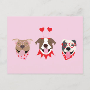 Happy Valentijnsdag Amerikaanse Pit Bull Terriers Briefkaart