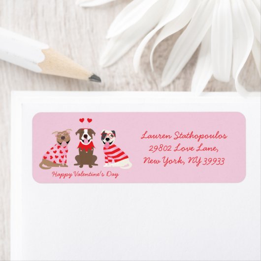 Happy Valentijnsdag Amerikaanse Pit Bull Terriers Etiket (Insitu)