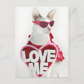 Happy Valentijns's Briefkaart van Skeezix the Cat