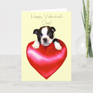 Happy Valentine's Day Boston Terrier Card Feestdagen Kaart