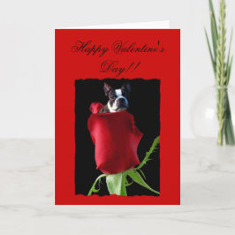Happy Valentine's Day Boston Terrier Wenskaart Feestdagen Kaart