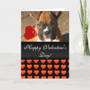 Happy Valentine's Day Boxer hondenharten Kaart