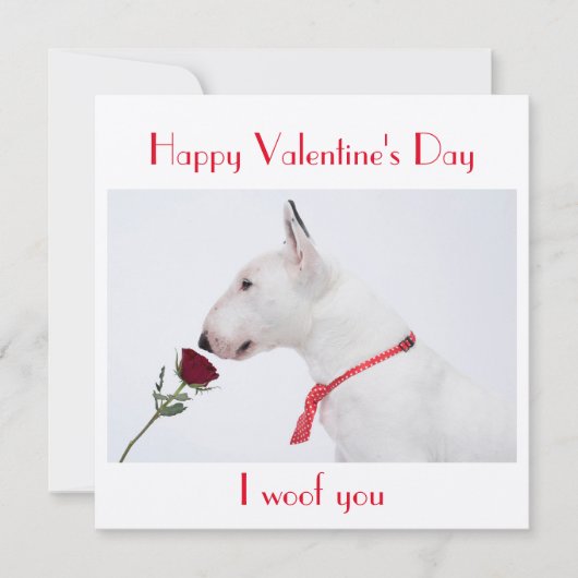 Happy Valentine's Day Bull Terrier with a Rose Kaart (Voorkant)