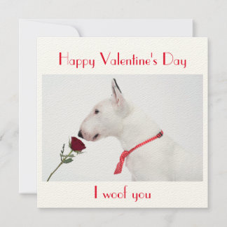 Happy Valentine's Day Bull Terrier with a Rose Kaart