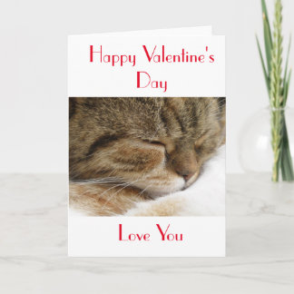 Happy Valentine's Day Cat Card Feestdagen Kaart