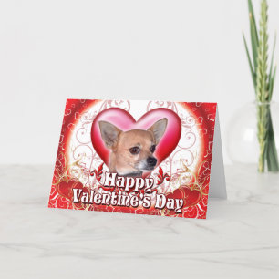Happy Valentines Day Chihuahua Feestdagen Kaart