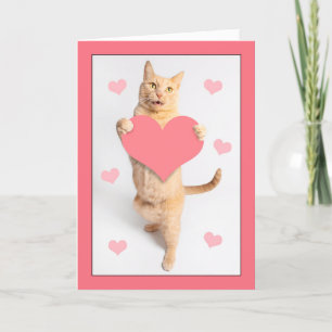 Happy Valentines Day Custom Naam Schattige Sinaasa Feestdagen Kaart