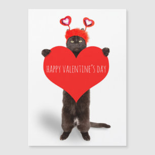 Happy Valentine's Day Cute Cat Holding Heart Humor