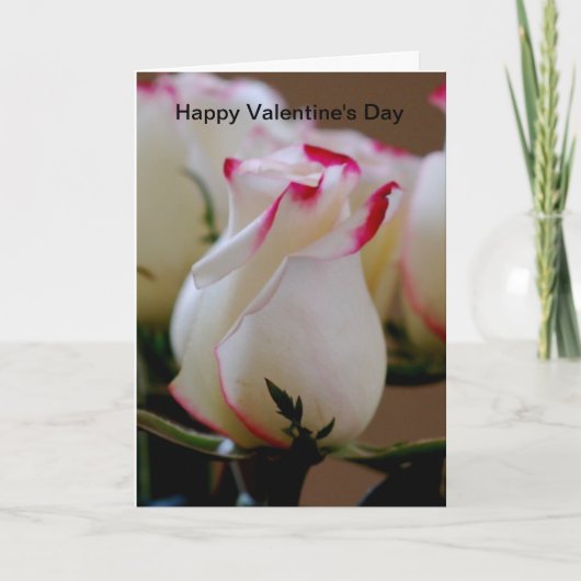 Happy Valentine's Day Feestdagen Kaart (Voorkant)