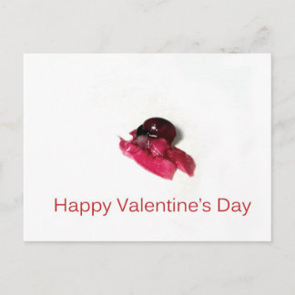 Happy Valentine's Day Feestdagenkaart