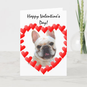 Happy Valentine's Day French Bulldog greeting card Feestdagen Kaart