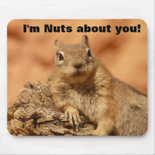 Happy Valentines Day Funny Squirrel Muismat