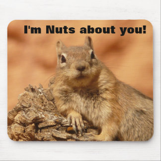 Happy Valentines Day Funny Squirrel Muismat